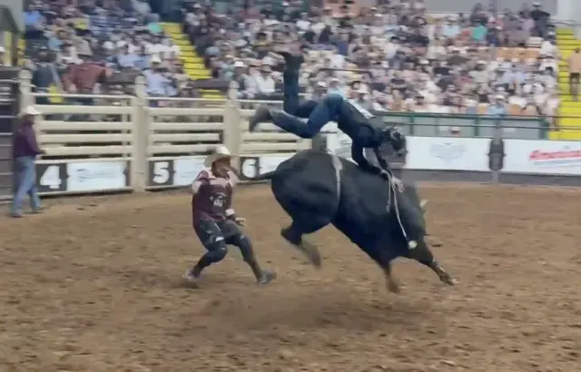 Chris Brandlin bull riding